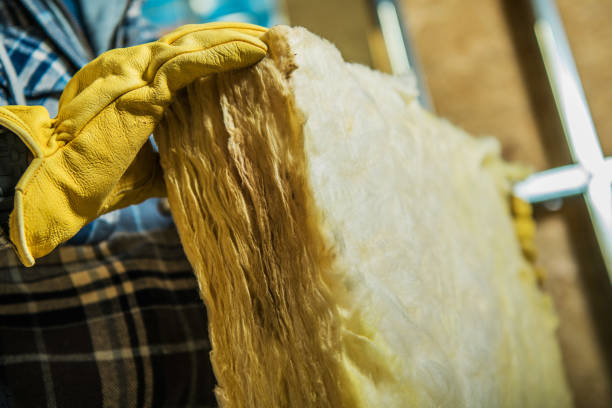 Best Attic Insulation Installation  in Hudson, TX